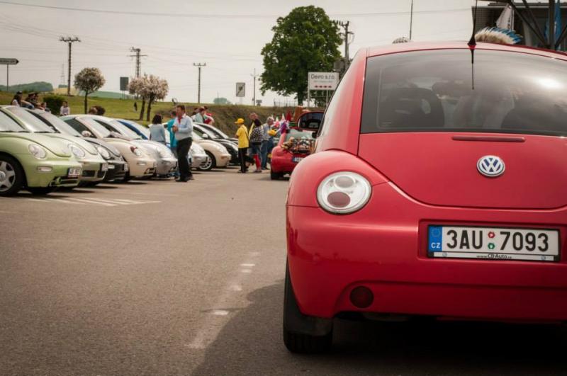 13th International Beetle Meeting in Czech Republic (spring event)