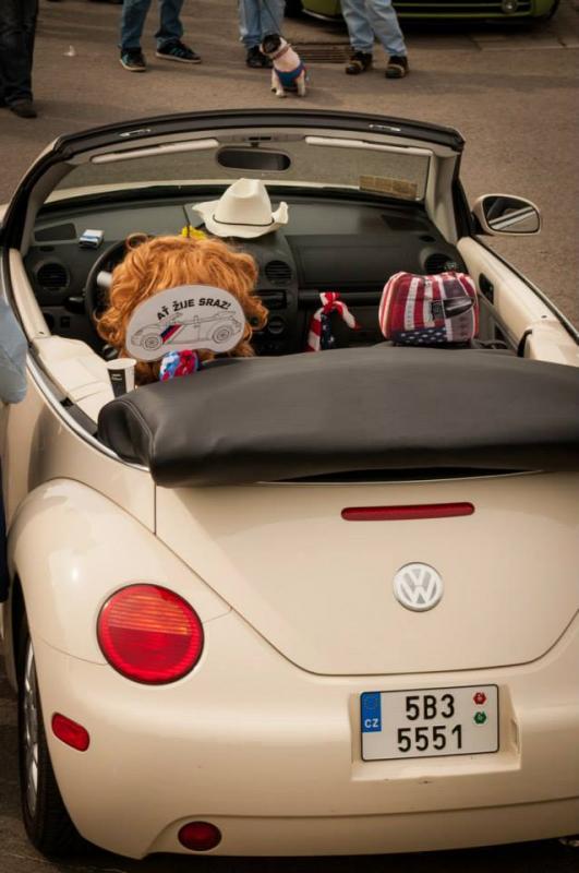 13th International Beetle Meeting in Czech Republic (spring event)