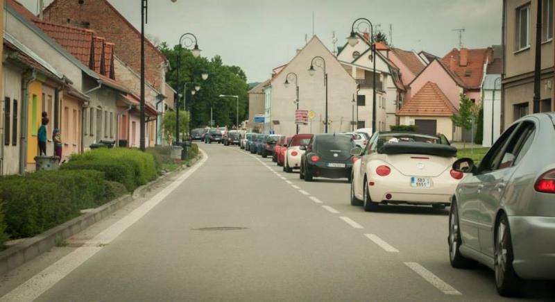 13th International Beetle Meeting in Czech Republic (spring event)