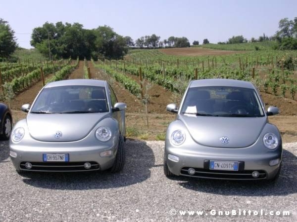 17-07-2005 -  Piacenza