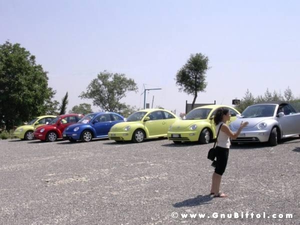 17-07-2005 -  Piacenza