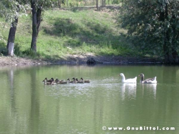 17-07-2005 -  Piacenza