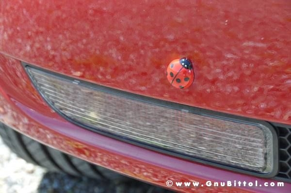 19-06-2011 - GnuScalata 2011