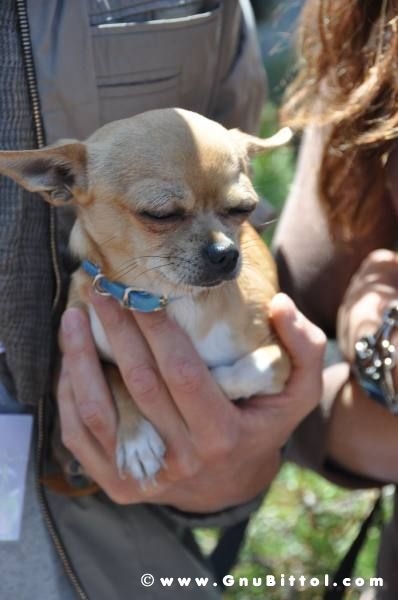 19-06-2011 - GnuScalata 2011