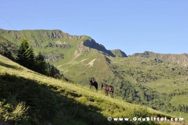 19-06-2011 - GnuScalata 2011