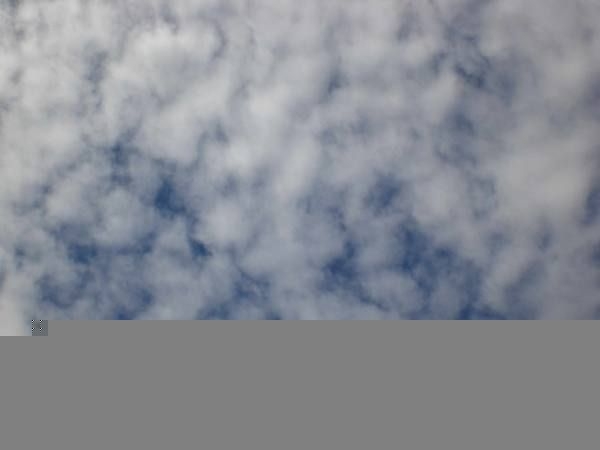 19-09-2010 - ESTremamente GNU! 2010