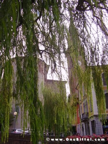 19-09-2010 - ESTremamente GNU! 2010