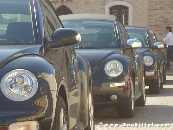 19-09-2010 - ESTremamente GNU! 2010