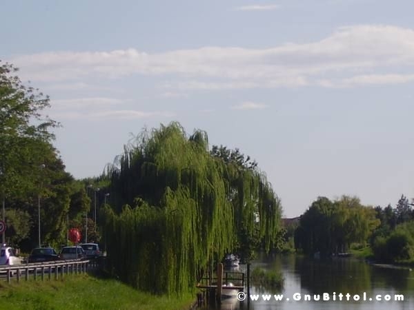 19-09-2010 - ESTremamente GNU! 2010