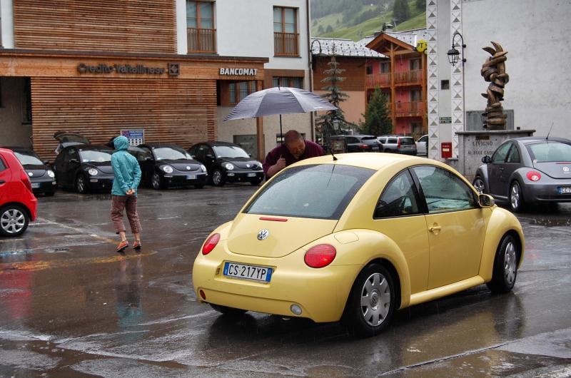 20-03-2011 - Scacco alla Gnu