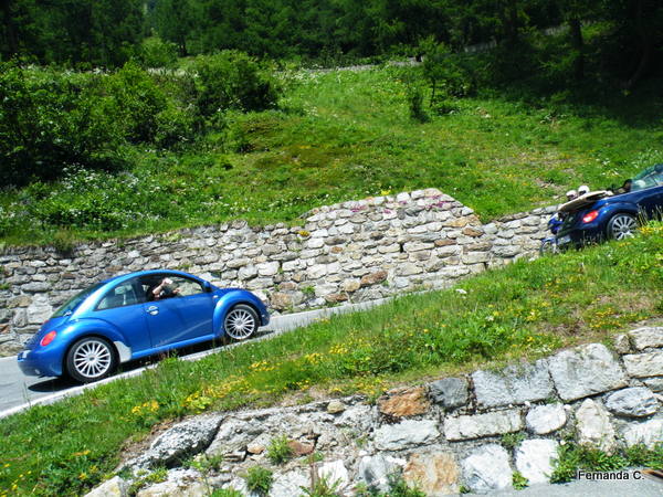 20-03-2011 - Scacco alla Gnu