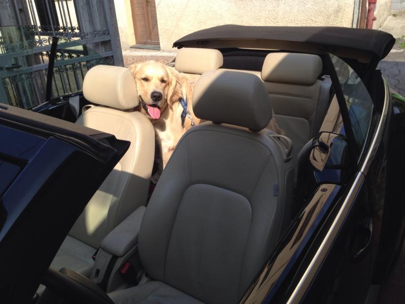 20-03-2011 - Scacco alla Gnu