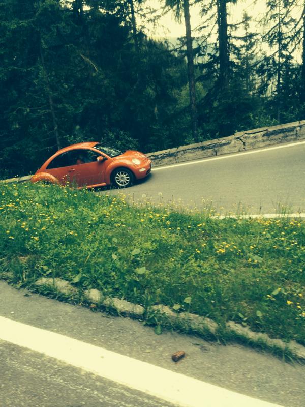 20-03-2011 - Scacco alla Gnu