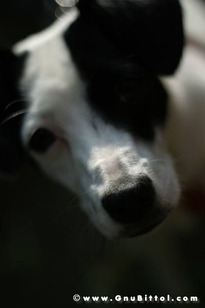 20-09-2009 - romaGNUa mia! 2009