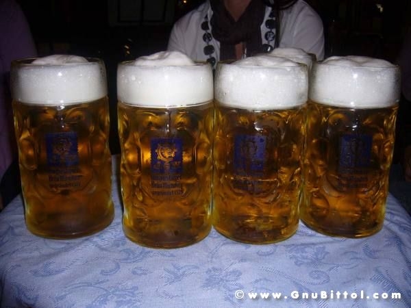 20-09-2009 - romaGNUa mia! 2009