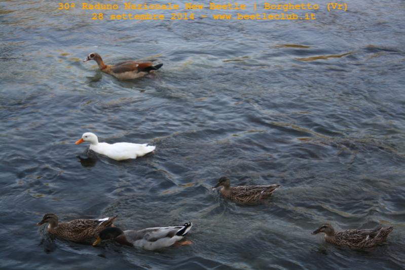 2009-05 Incontri NordEst