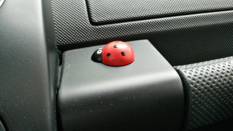 20150801 083938 richtone hdr