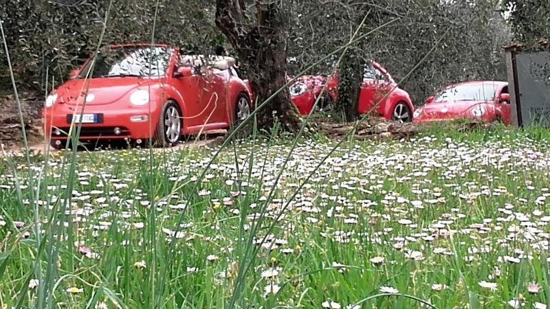 20170402 130954 richtone hdr