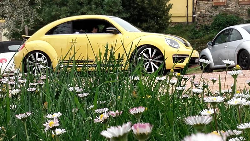 20170402 131138 richtone hdr