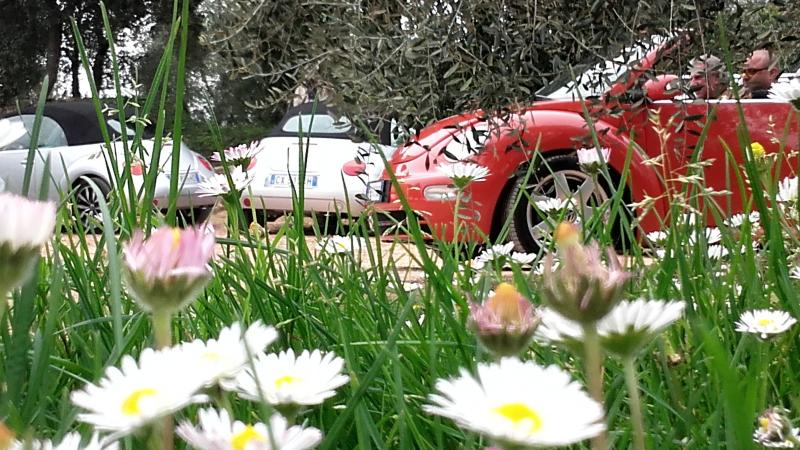 20170402 131149 richtone hdr