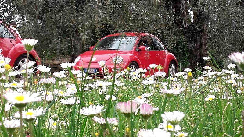 20170402 131227 richtone hdr