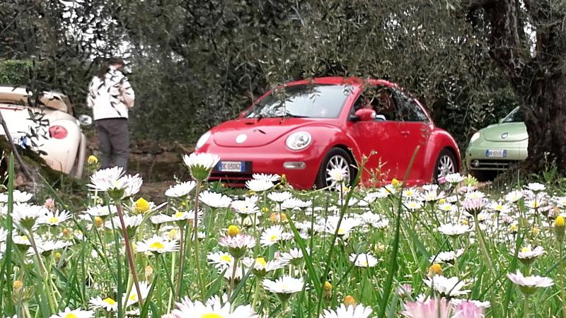 20170402 131257 richtone hdr