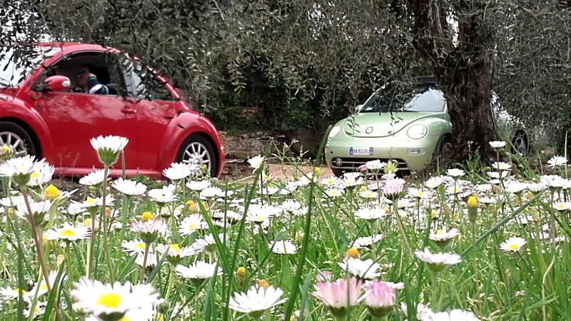 20170402 131305 richtone hdr