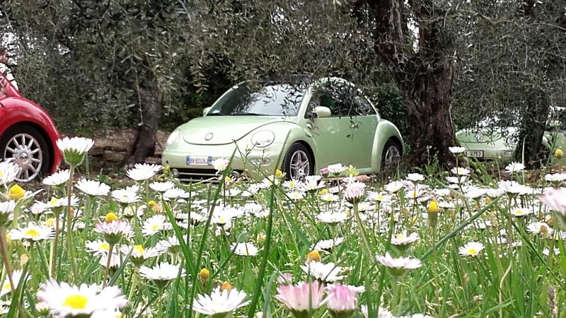 20170402 131314 richtone hdr