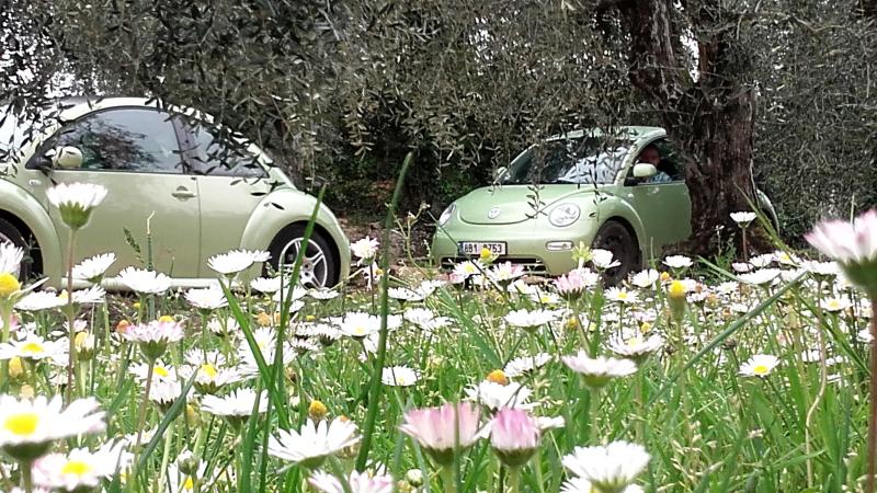 20170402 131428 richtone hdr