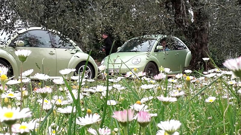 20170402 131431 richtone hdr