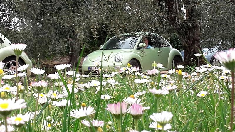 20170402 131438 richtone hdr