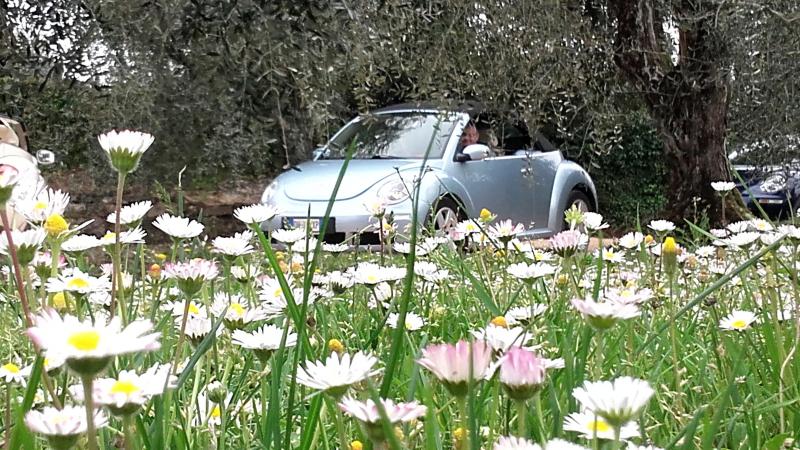 20170402 131453 richtone hdr