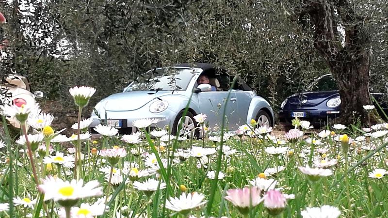 20170402 131456 richtone hdr