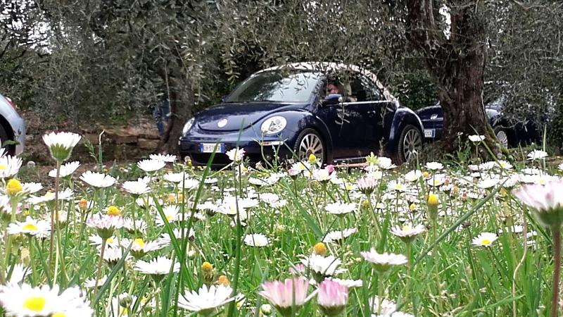 20170402 131525 richtone hdr