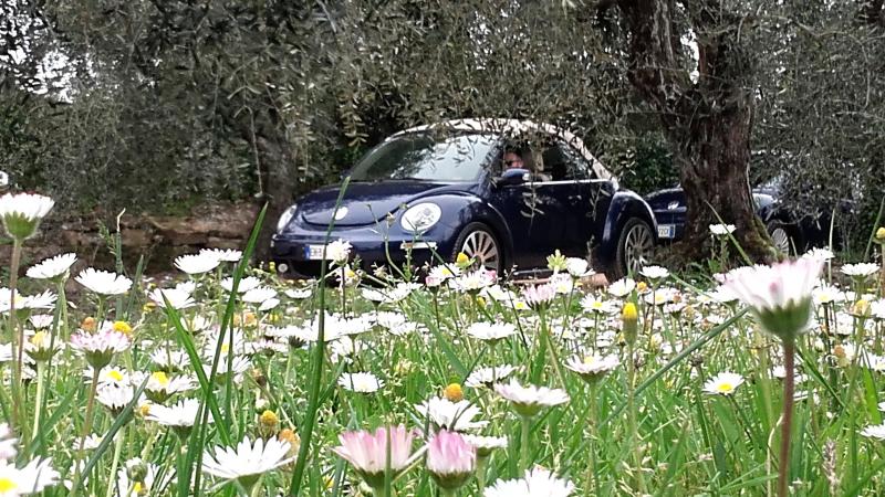 20170402 131550 richtone hdr