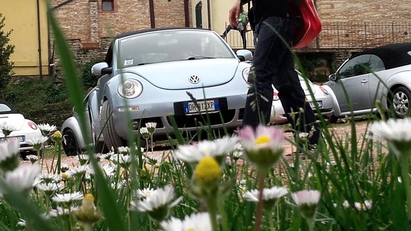 20170402 131610 richtone hdr