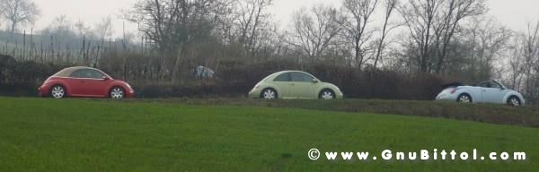 21-03-2010 -  boloGNUbittol 2010