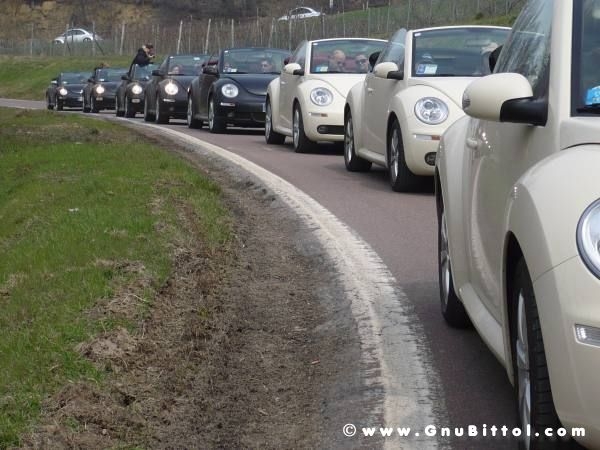 21-03-2010 -  boloGNUbittol 2010