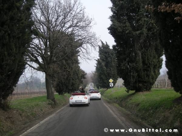 21-03-2010 -  boloGNUbittol 2010