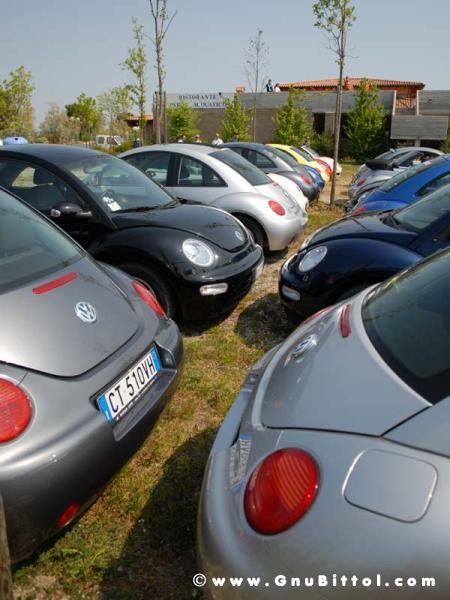 21/22-04-2007 - Laguna Gnu 2007