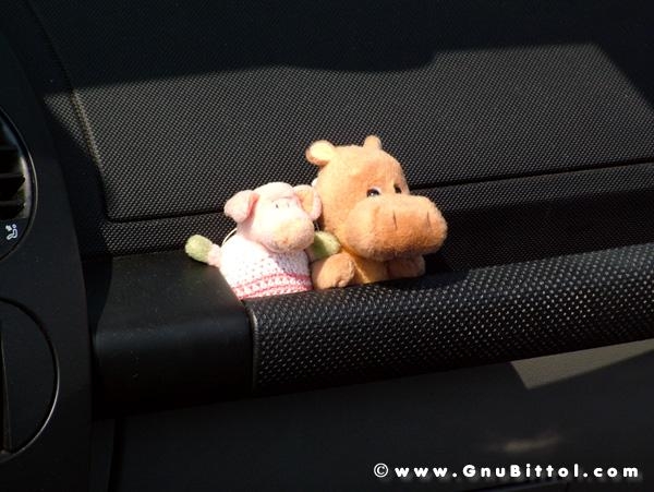 21/22-04-2007 - Laguna Gnu 2007