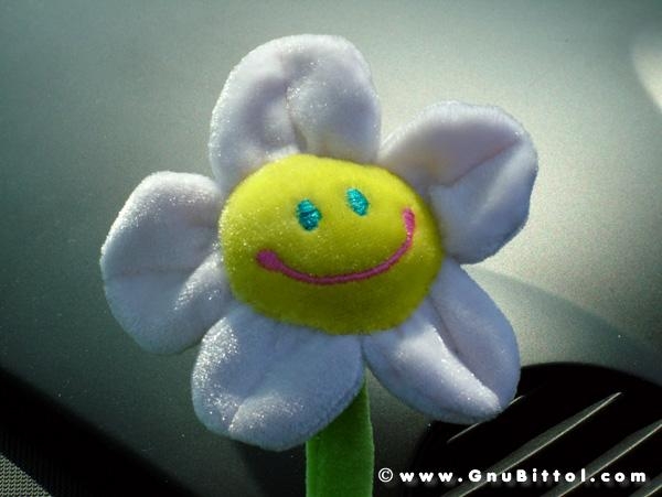 21/22-04-2007 - Laguna Gnu 2007