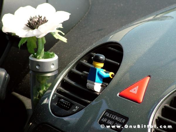 21/22-04-2007 - Laguna Gnu 2007