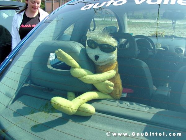 21/22-04-2007 - Laguna Gnu 2007