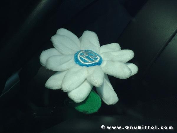 21/22-04-2007 - Laguna Gnu 2007