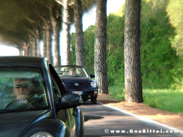 21/22-04-2007 - Laguna Gnu 2007