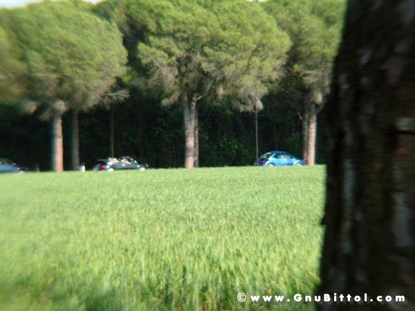 21/22-04-2007 - Laguna Gnu 2007