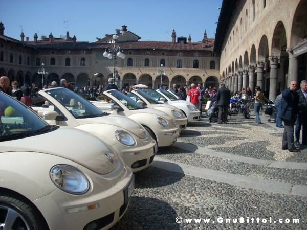 22-03-2009 - SprinGnuBittol 2009