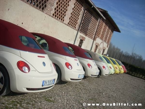 22-03-2009 - SprinGnuBittol 2009