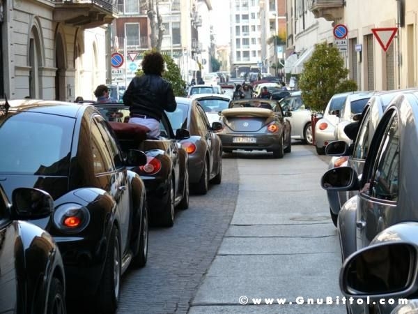 22-03-2009 - SprinGnuBittol 2009